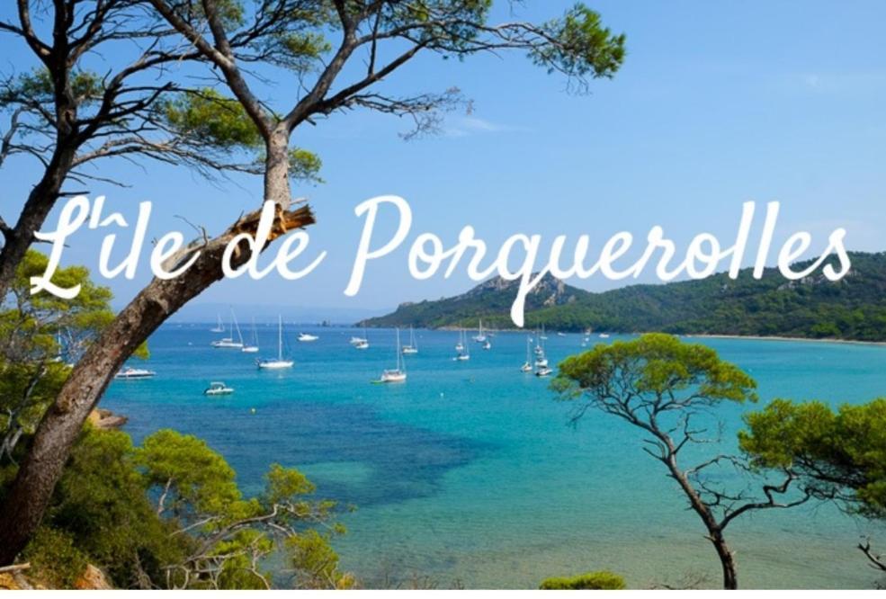 Le Terra-Cota 3 Ch Privees 10' Gare-Port Et Plage, Wfi, Cosy Tolone Esterno foto