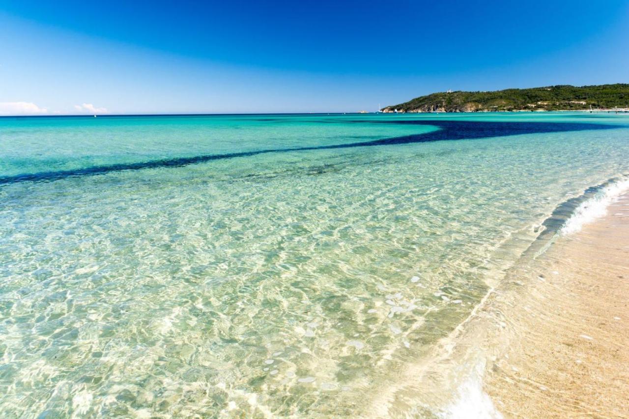 Le Terra-Cota 3 Ch Privees 10' Gare-Port Et Plage, Wfi, Cosy Tolone Esterno foto